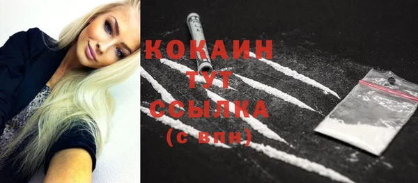 сатива Каменск-Шахтинский