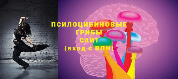 мдпв Зеленодольск