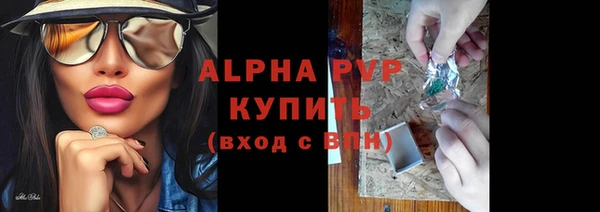 сатива Каменск-Шахтинский