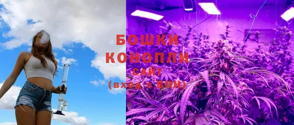 сатива Каменск-Шахтинский