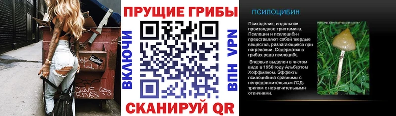 где купить наркотик  Нефтеюганск  Галлюциногенные грибы GOLDEN TEACHER 